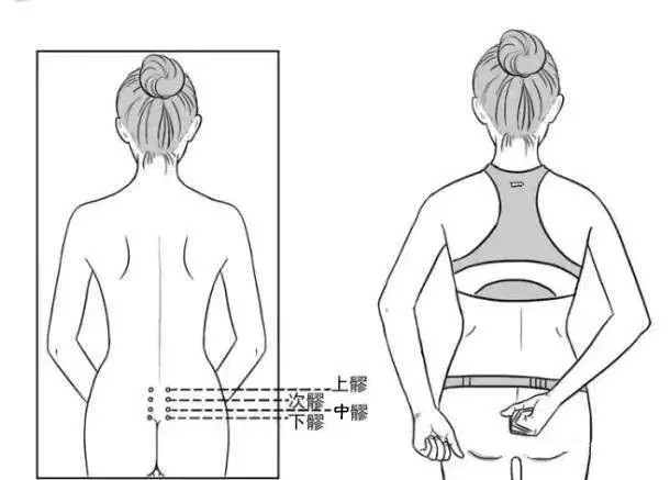 女性臀部6条经络图图片