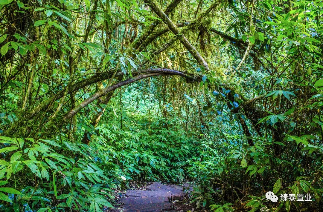 【泰国自然地理】这些地方去过之后只想私藏不愿分享!