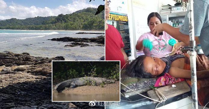 父爱如山从鳄鱼口中救儿子父亲活活把鳄鱼咬跑