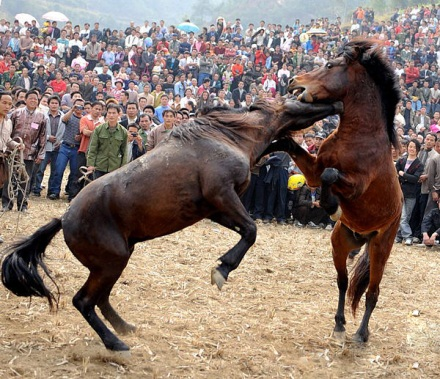 "二十四节气 山水广西"之立春,壮乡热闹到天边!