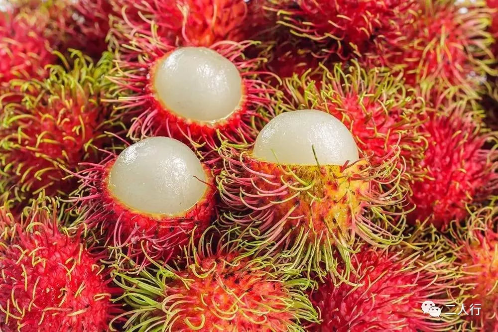 环游东南亚必吃的十大热带水果