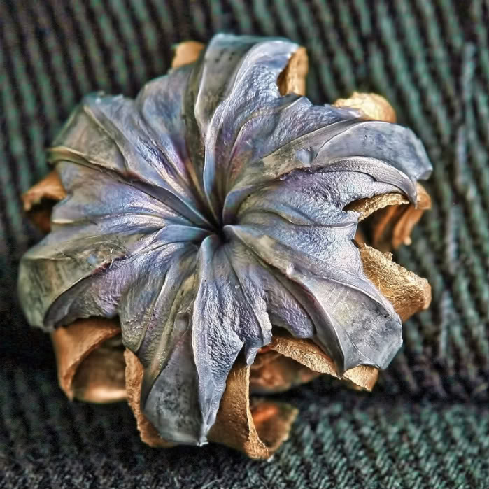 这种子弹比达姆弹还可怕,子弹爆裂难处理,本来是用来狩猎