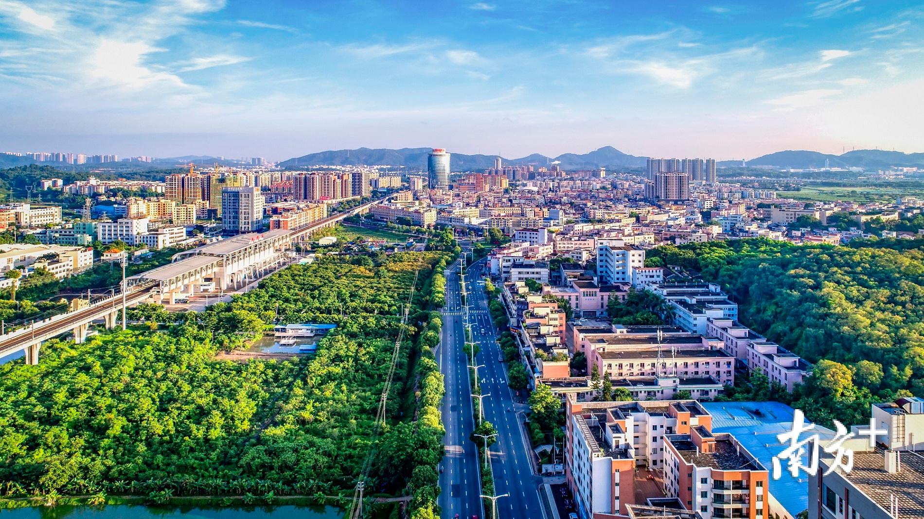 一把手访谈|南朗镇党委书记刘锐濠:以新担当新作为深度参与粤港澳大