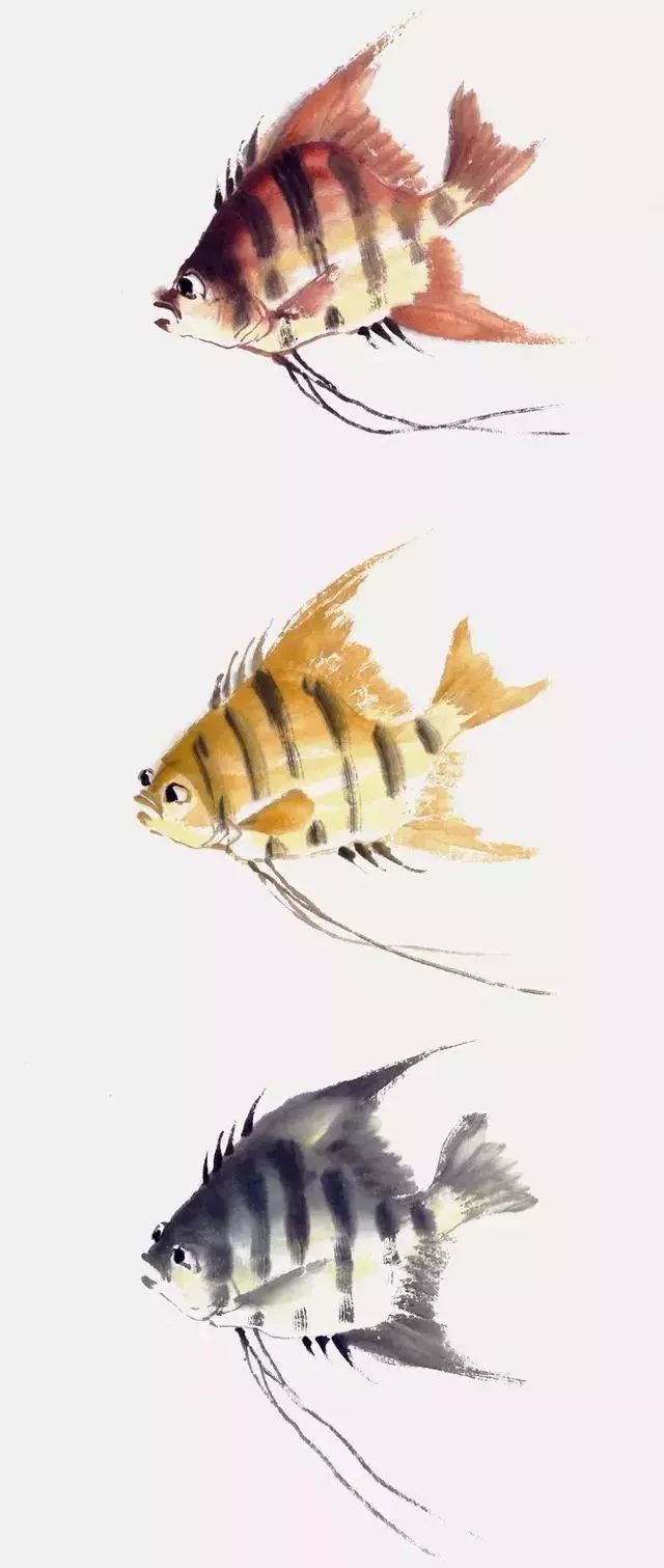 彩墨画鱼简单图片