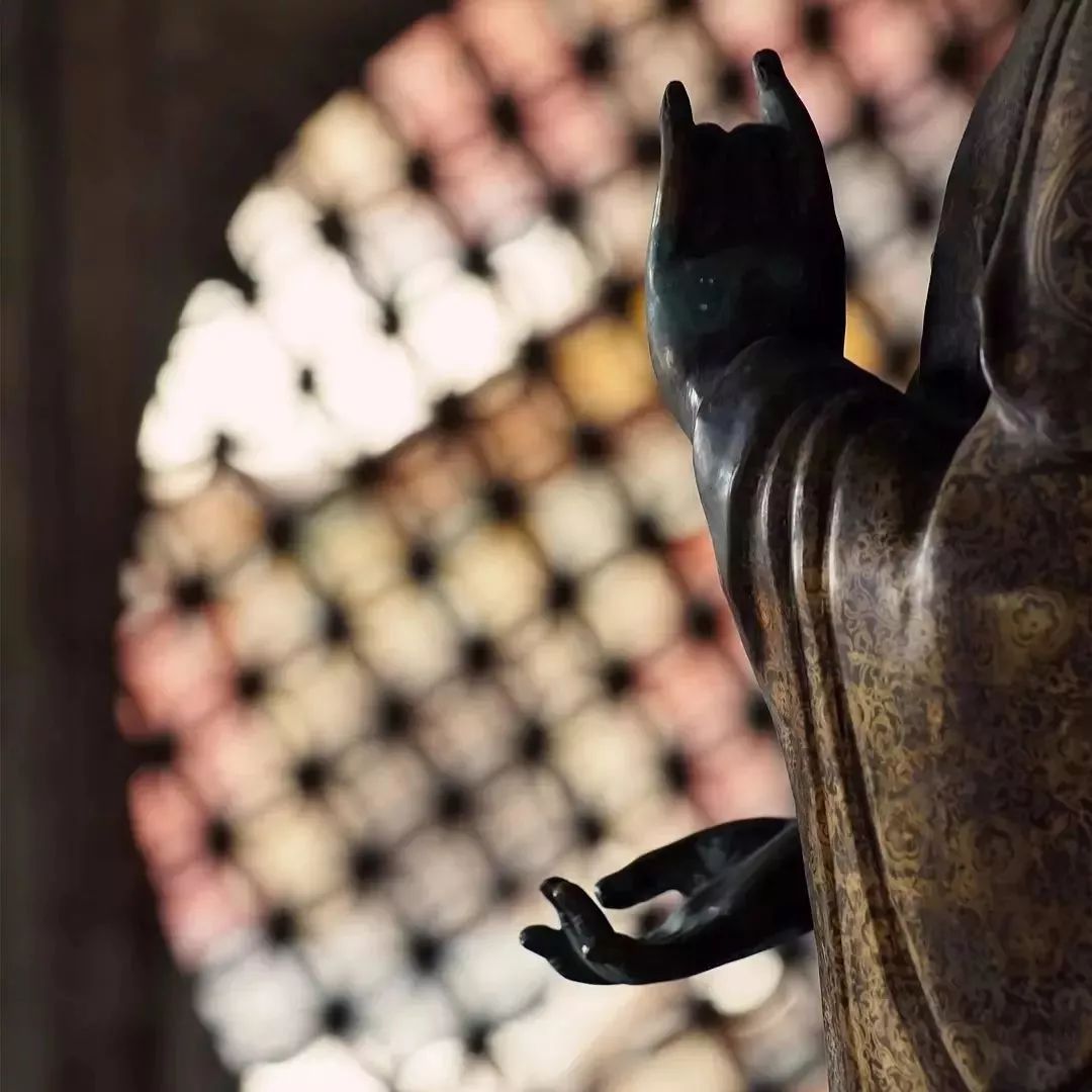 文字:桃园野菊"菩提本无树,明镜亦非台,本来无一物,何处惹尘埃.