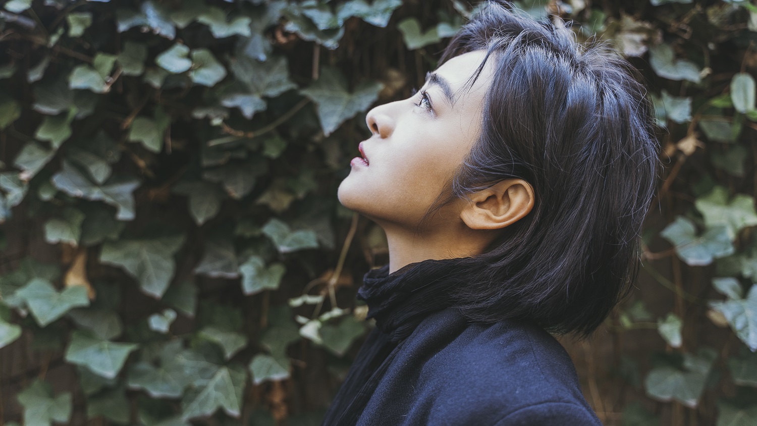 柏林泰迪熊奖电影《再见南屏晚钟》 大陆首映主演南吉备受赞誉__凤凰