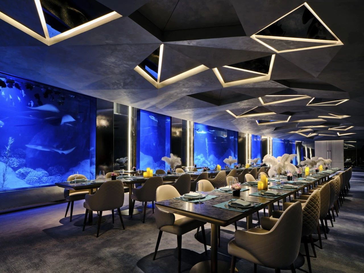 深坑酒店全揭秘,-88米地平线下的住宿体验,比你想象中更精彩