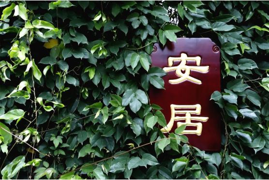 结夏安居丨出家人的夏季生活方式你了解吗