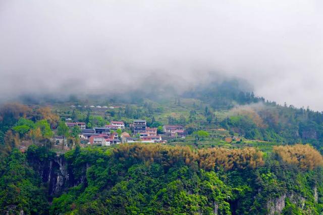 浙江有个"悬崖村" 藏在海拔800多米的深山中