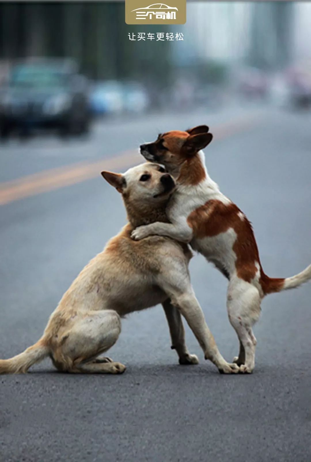 它违章我赔钱知道这几点不吃哑巴亏