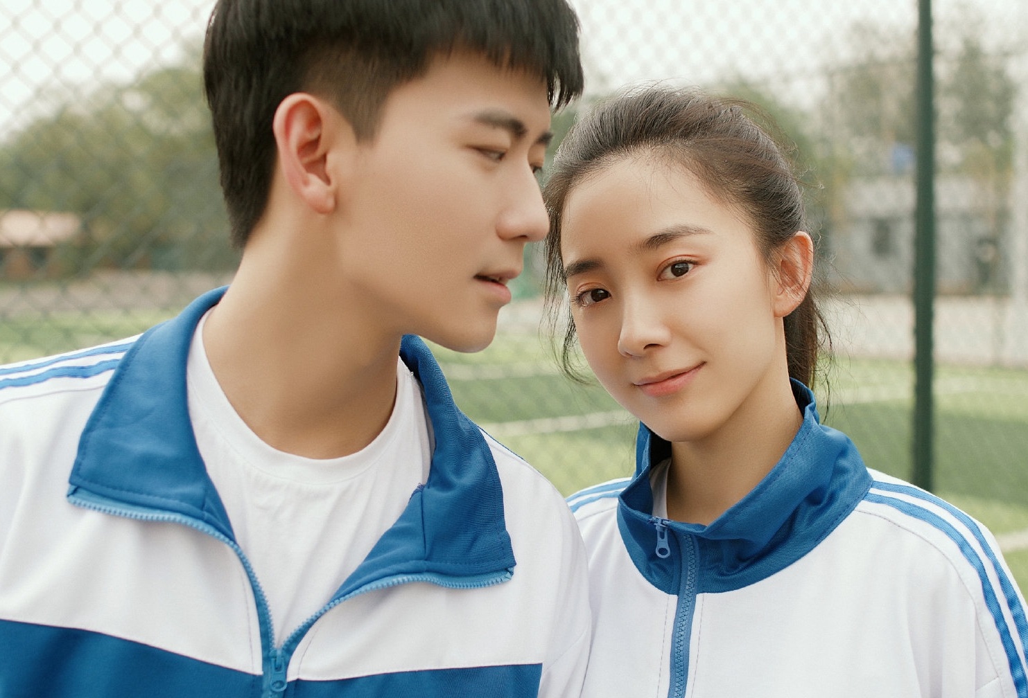 橘生淮南洛枳与盛淮南的禁忌之恋是否离经叛道