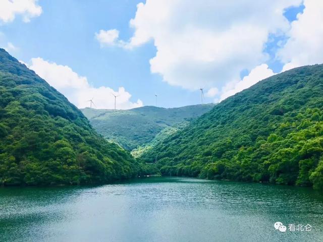 惊艳!一条游步道串起北仑秀美绿色山川,溪水环绕,古树纷繁__凤凰网