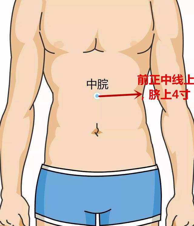 中脘穴:位于腹部前正中线上,肚脐上四寸处(一寸大约是自身拇指宽度)