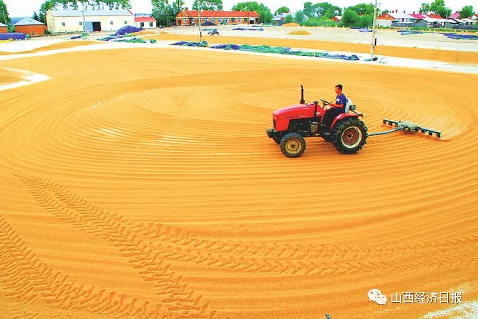 农业现代化改写山西三夏节奏