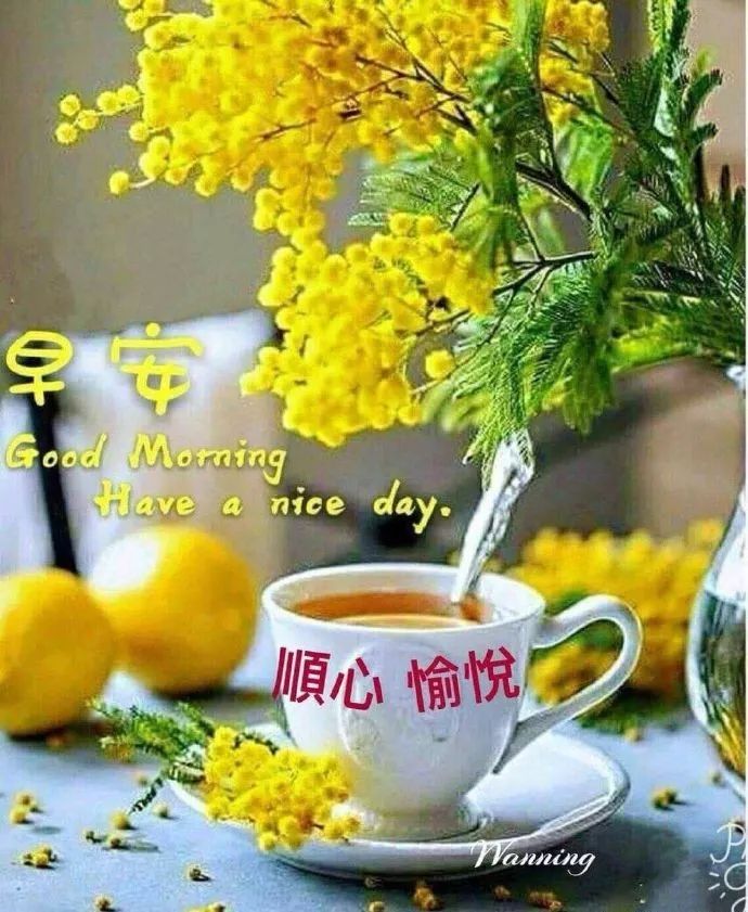 最新版早上好阳光暖心的祝福句子,早晨好美的表情图片送大家__凤凰网