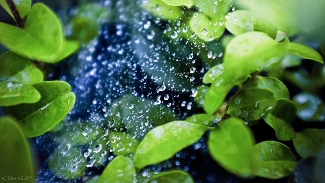 文化夏天的雨落在古詩詞裡別有一番風味