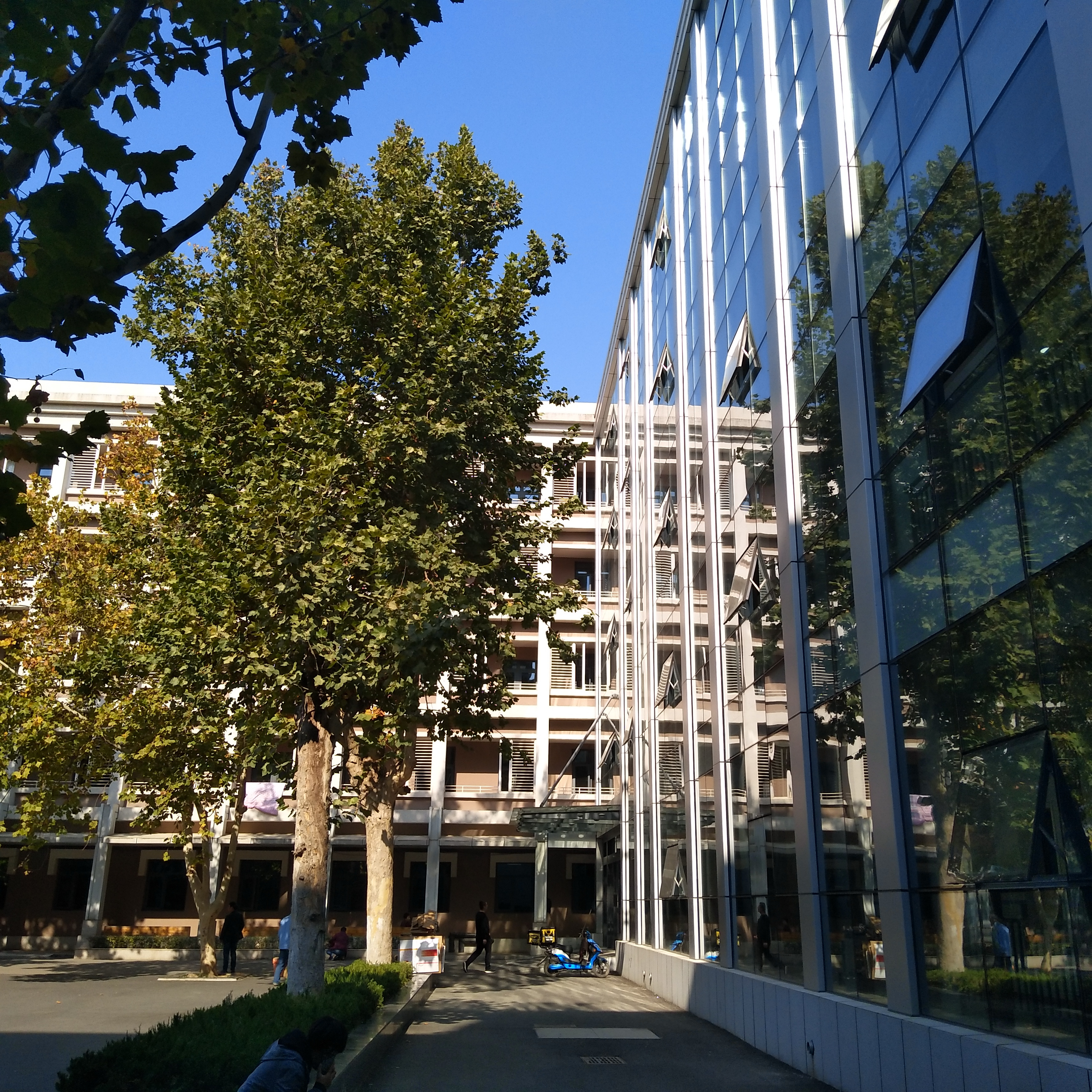 【山东省立医院西院】专访徐伟:让患者听得懂 让医学有温度__凤凰网