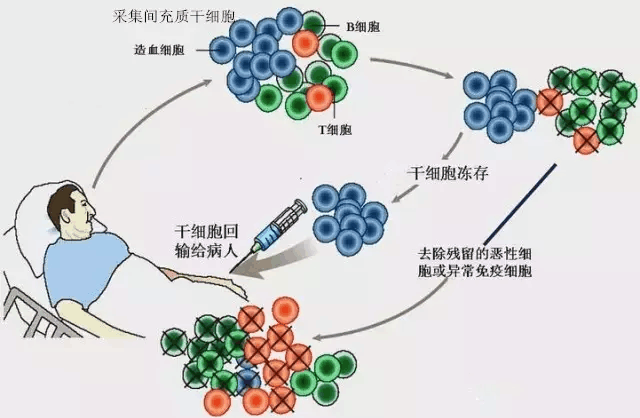 干细胞注射治疗技术,可预防疾病改善身体健康!