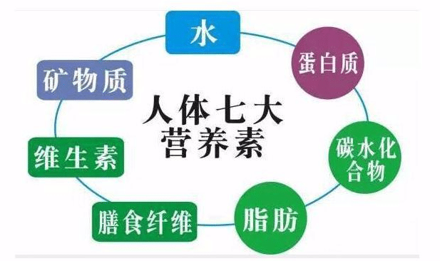 快美康一张图帮你看懂营养素保健品和药品的区别