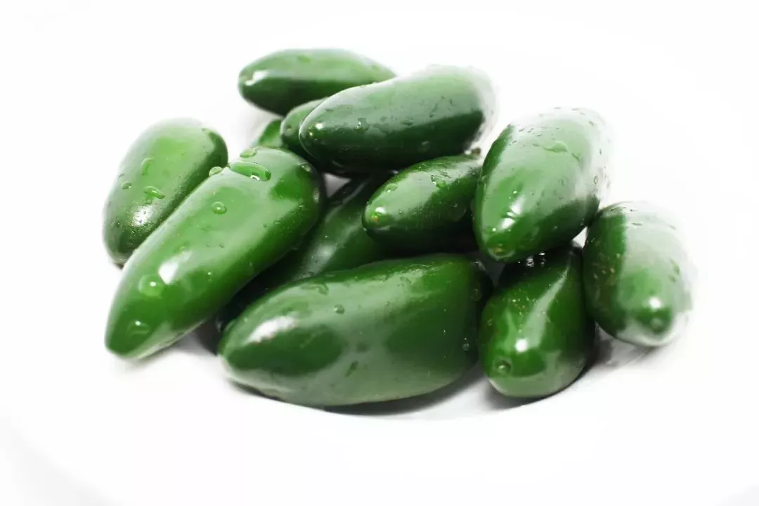 jalapeno/哈雷派尼奥/墨椒来自墨西哥的哈雷派尼奥辣椒