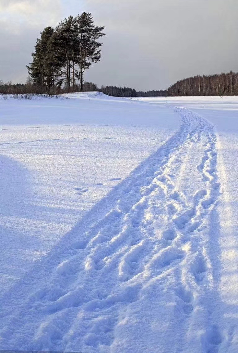 长沙的这一场大雪 让我不禁想起毛爷爷的一首词 "南国"风光 千里冰封
