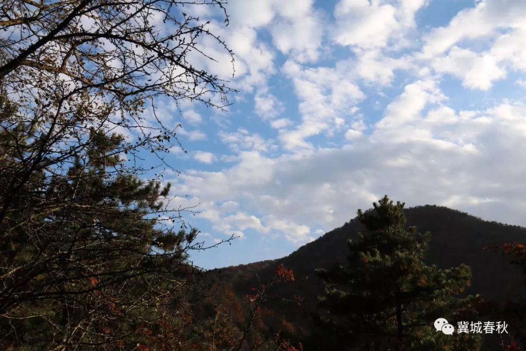 秋山自鸣—甘谷尖山寺秋韵