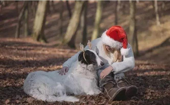 动物福利立法这是一件有关全人类福祉的大事