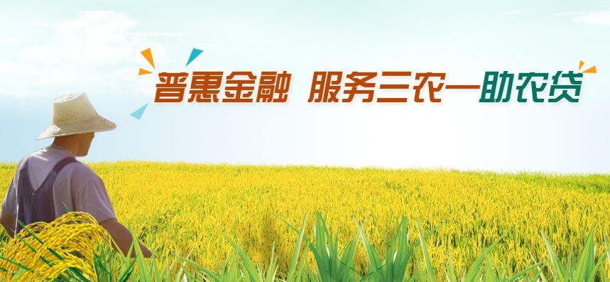 泰兴小额贷款行业：如何在稳健与创新中寻找平衡