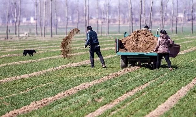 土壤改良"4大法则"!实用!
