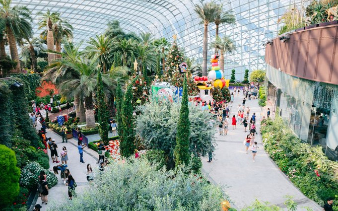 世界上最大的玻璃冷室:新加坡滨海湾花园之花穹