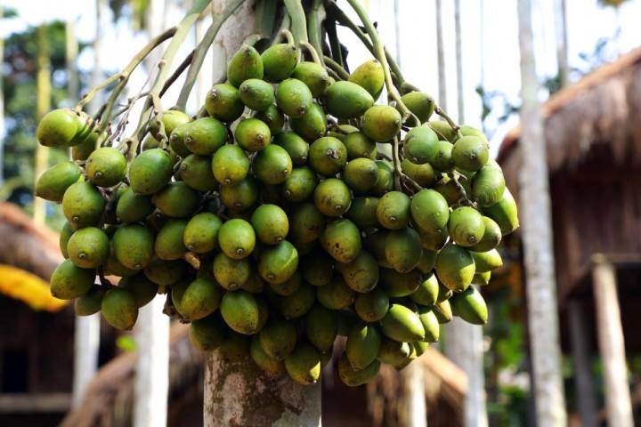 这4种常见水果,尽量少给孩子吃,对孩子成长不利,家长需注意!