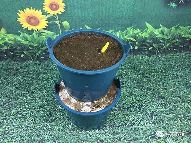 【种菜教授】双桶种菜正确的安装及种植步骤!(果断搜藏了)