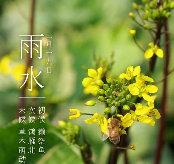 雨水:天街小雨润如酥__凤凰网