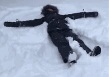 350_248gif 动态图 动图
