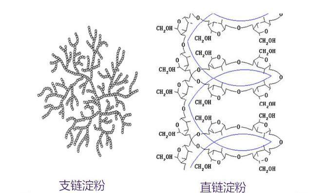 总体来讲,小米作为粗粮之一,具有的一些特殊的支链和直链淀粉成分,是