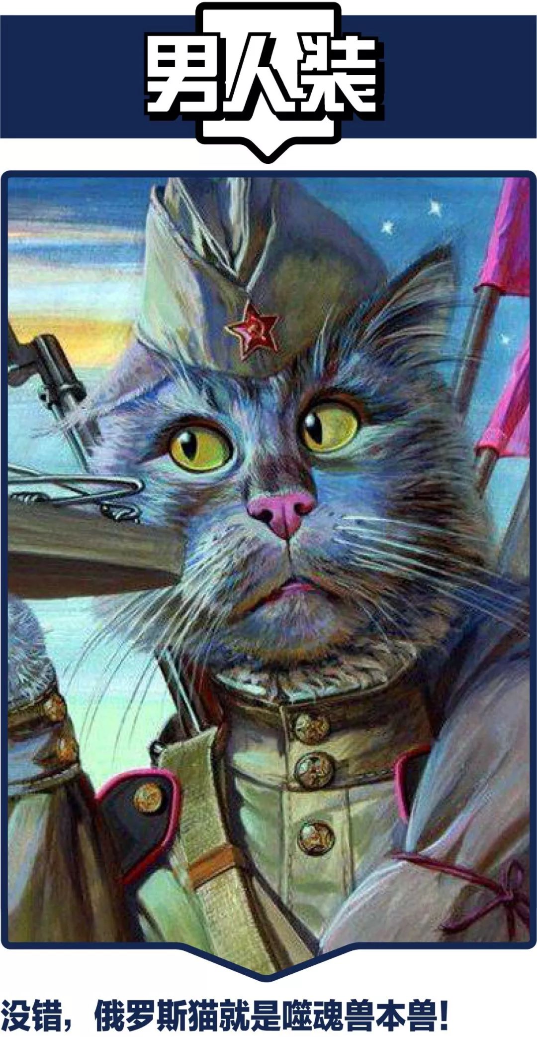 战斗民族的猫活得像个土匪