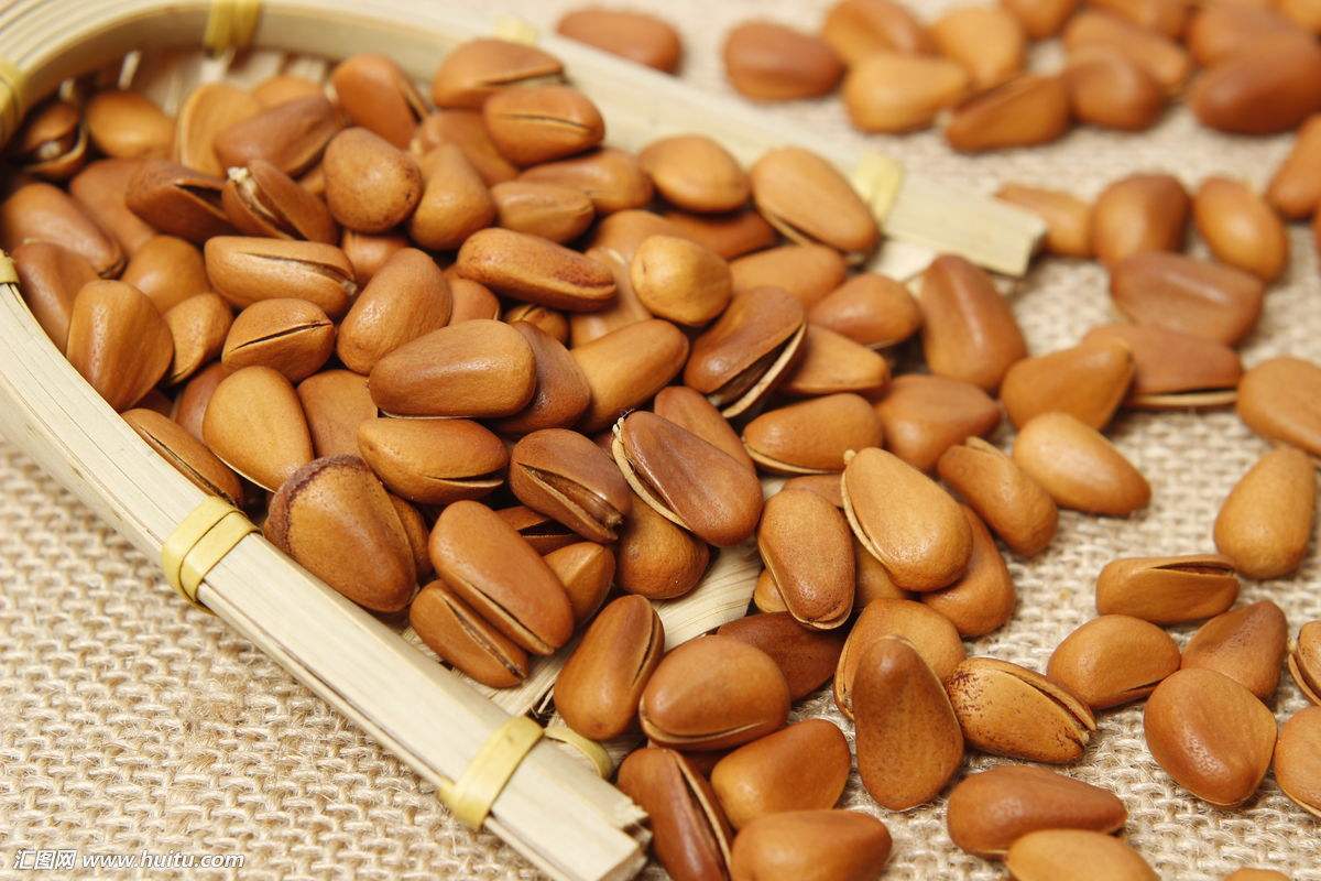 长寿之果松子竟也可以酿酒松子酒做法与功效