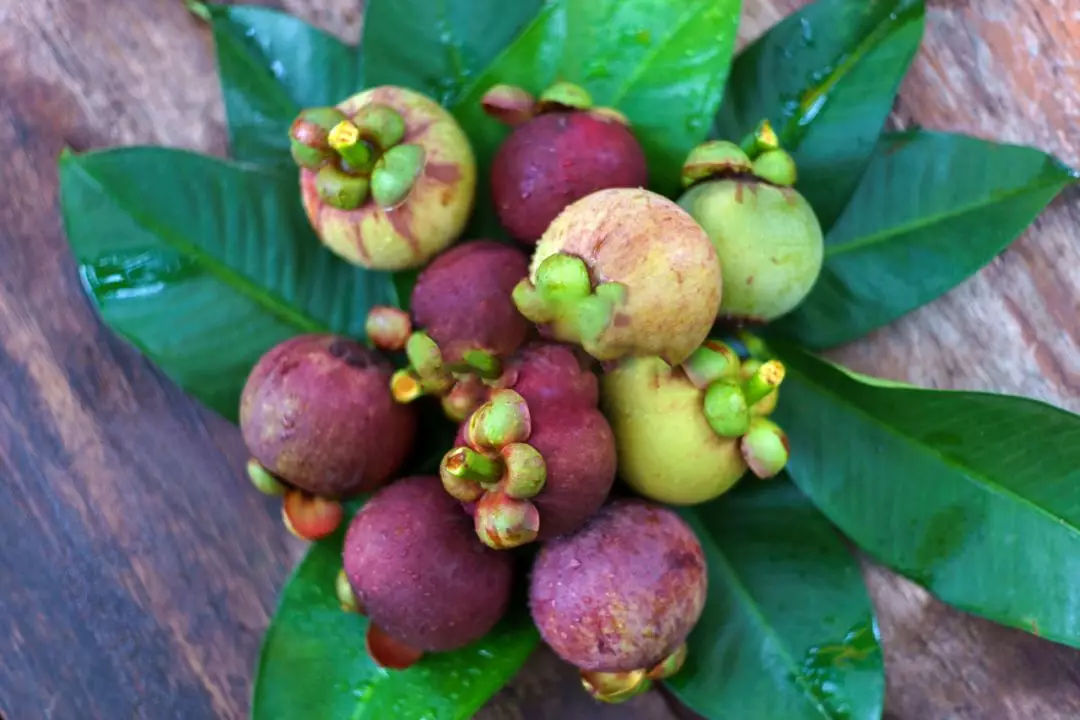 一路小跑生鲜便利|四月天,山竹甜