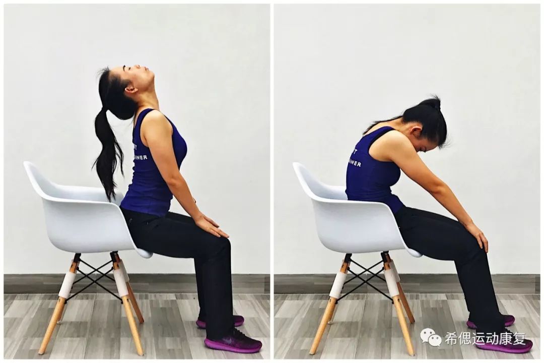 高效办公室拉伸操,还你一个健康的脊柱__凤凰网