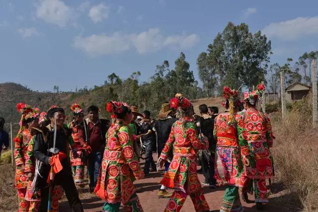 春光乍泄,巍山庙街看油菜花和古村落,美爆了