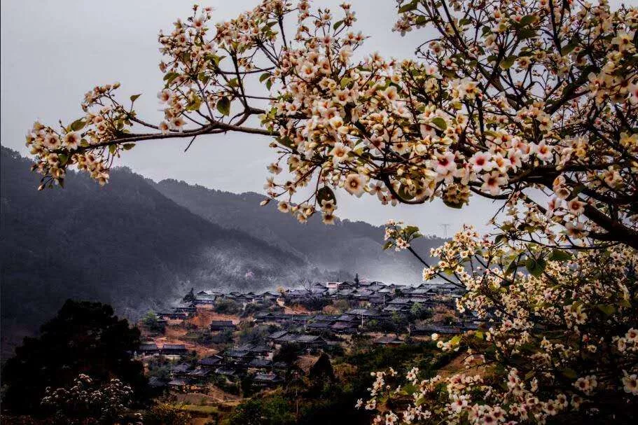 广南三月"闹"花街 万人同庆壮族"情人节"