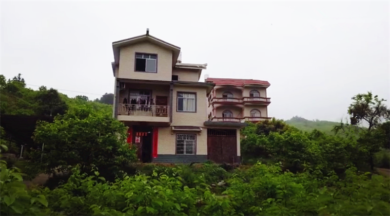 广西一座僻静小山村,两栋别墅建在山坡树林里,令人羡慕