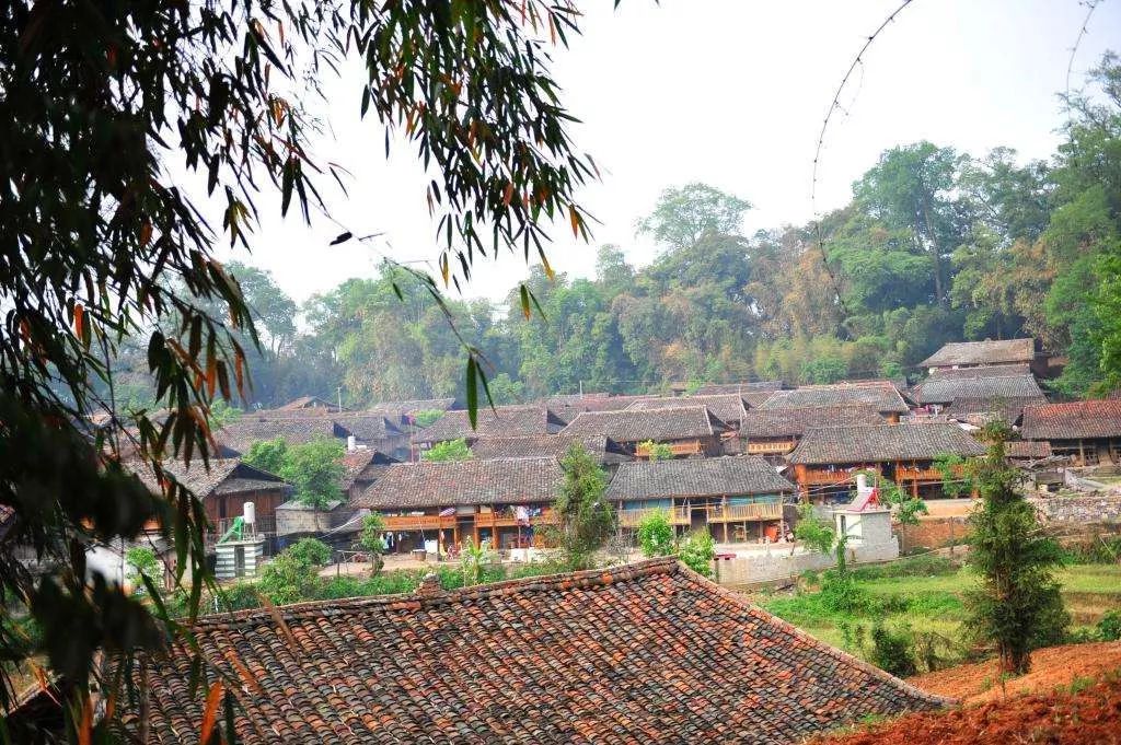 视频:走进神秘城寨,2019彝族白倮人"荞菜节"__凤凰网