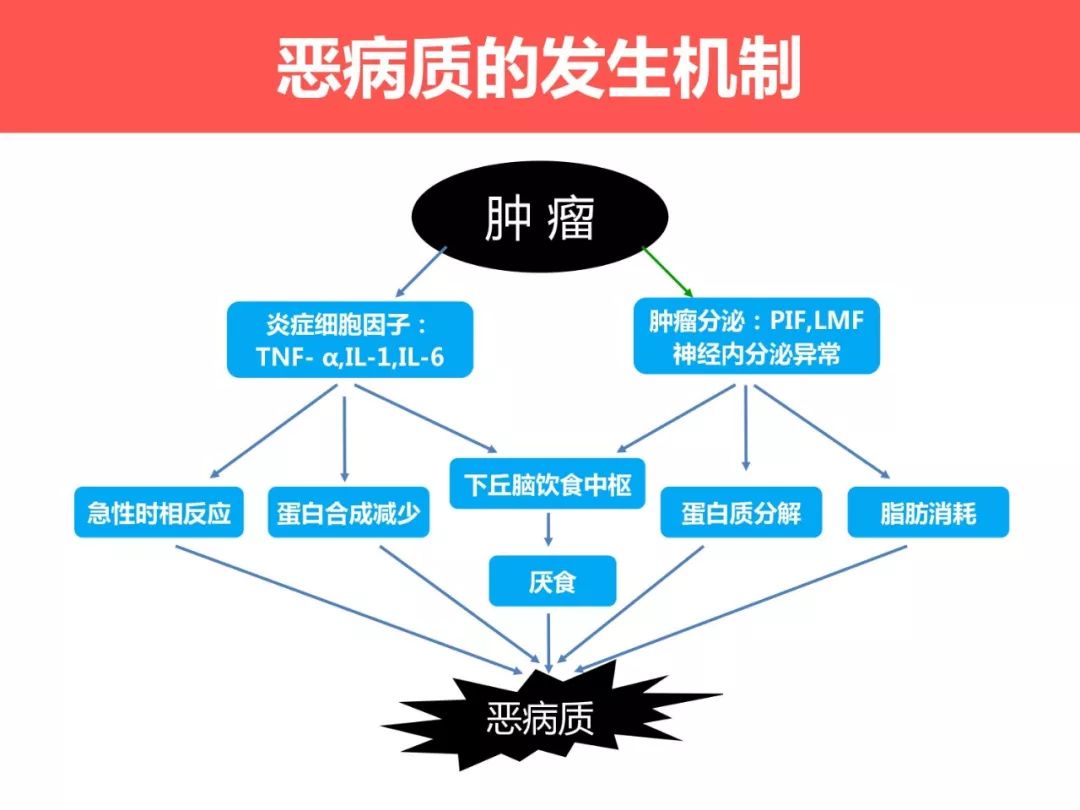 基于生物电阻抗的人体成分分析在肿瘤恶液质患者中的临床应用及病例