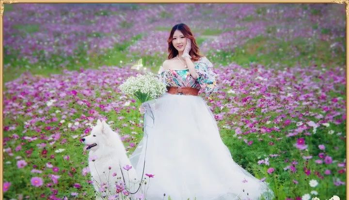 词集《蝶恋花 望穿秋水 蔡秀娟