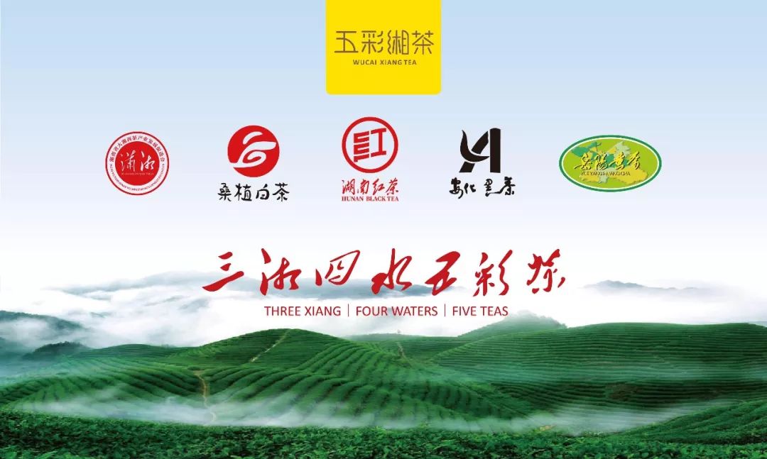 专家协作攻关集成系列技术添香五彩湘茶