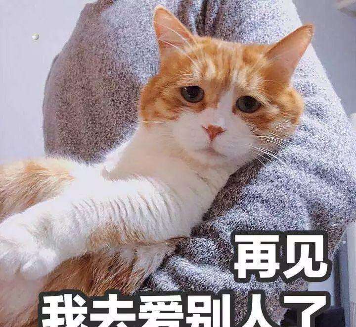 你见过最不解风情的男生有多夸张?