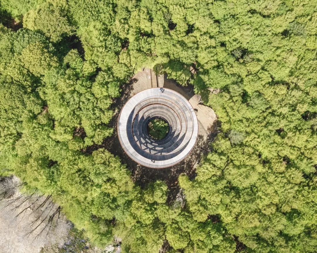 45米景观塔,体验漫步丹麦森林之上的独特感受__凤凰网