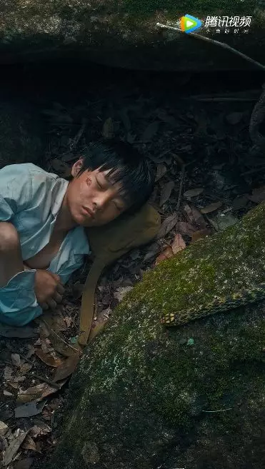 但小男孩没有因此退缩 咬我,那我就把你烤来吃掉