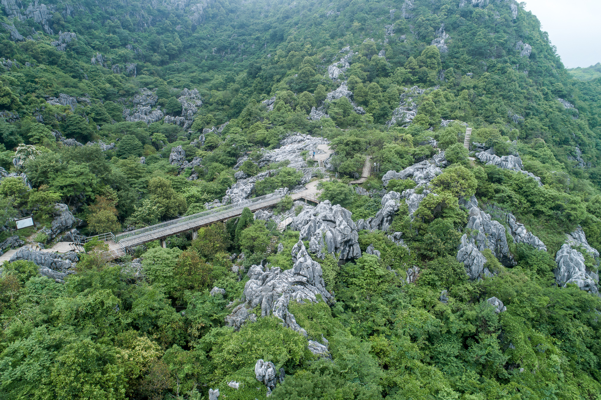 衢州三衢石林景区图片